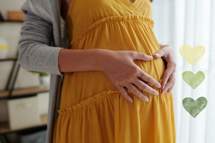 donor and surrogacy programs