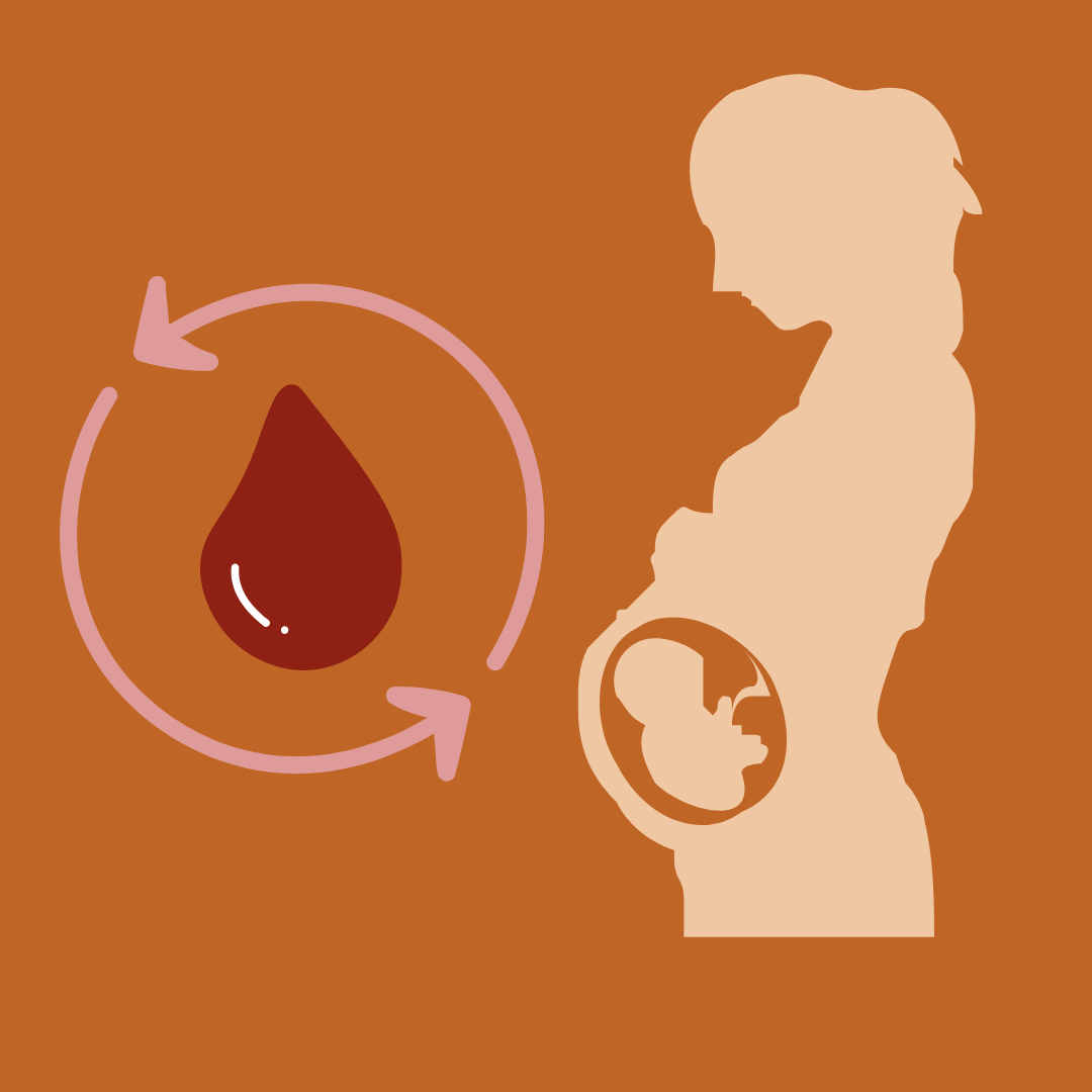 bleeding-in-pregnancy Bleeding during Pregnancy