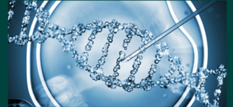 preimplantation-genetic-screening-pgs-or-pgd-a-